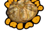 From-selection.png